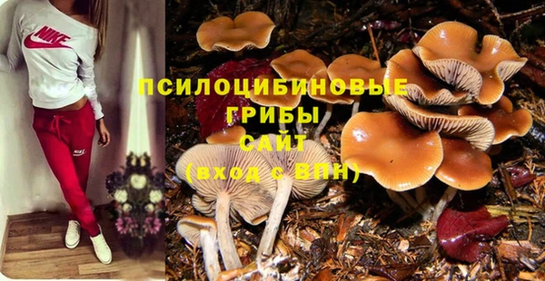 дурь Абинск