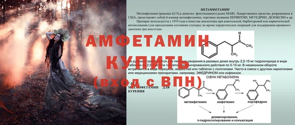 эйфоретик Ладушкин