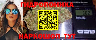прущие грибы Кинель