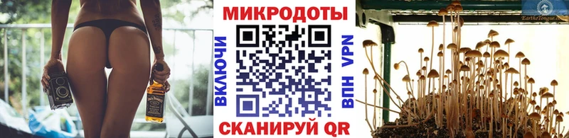 Галлюциногенные грибы ЛСД блэк спрут вход Кострома