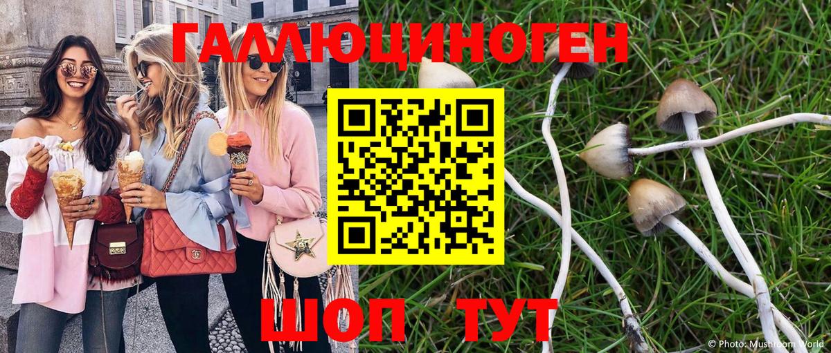 Галлюциногенные грибы мухоморы  Галлюциногенные грибы Psilocybe  Вход с VPN  Кострома 